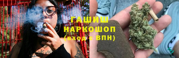 ешки Алексин