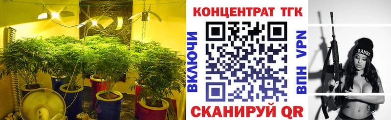 Дистиллят ТГК Wax  ОМГ ОМГ ONION  Карабаш 