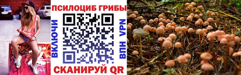 Галлюциногенные грибы Magic Shrooms  наркота  Карабаш 